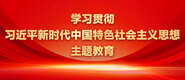 操的好爽啊啊啊啊啊学习贯彻习近平新时代中国特色社会主义思想主题教育_fororder_ad-371X160(2)